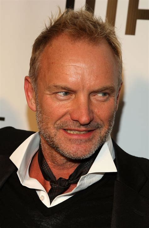 Sting Sting Sting Musician Haircuts For Men
