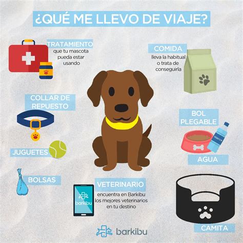 10 Ideas De Como Tratar A Mi Perro Cuidar Animales Consejos Para