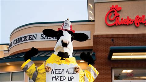 Chick Fil A Free Food Day For Customers Dressed As Bovines On Cow