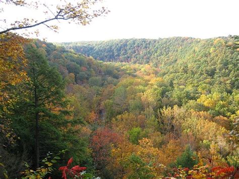 Hills Of Southern Ohio Camping In Ohio Best Campgrounds State Parks