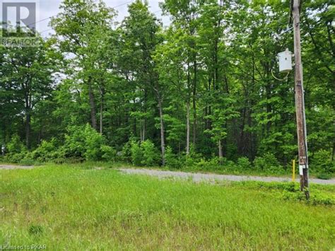 0 Highway 7 Highway Madoc On Landlot For Sale Rew