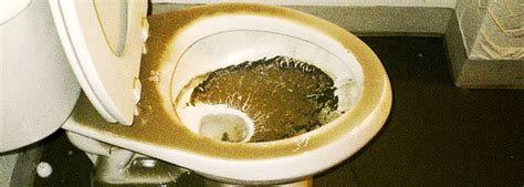 Safe Ways To Clean Your Toilet Bowl Effectively And Avoid Plumbing Repairs