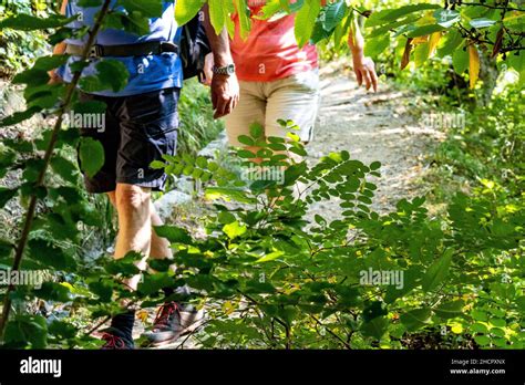 Pair Of People Walking On A Hiking Trail Through Bushes Stock Photo Alamy