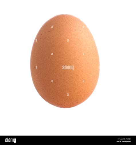 Chicken Egg Stock Photo Alamy