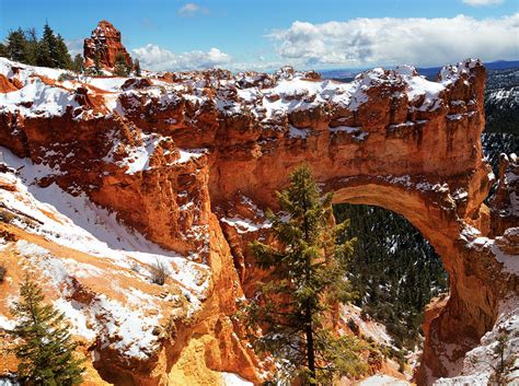 Fresh Snow Bryce Canyon National Park Utah Photograph By Bruce Beck