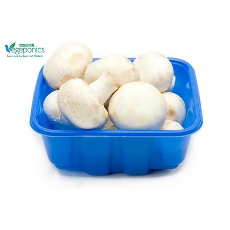 Vegeponics White Button Mushroom Ntuc Fairprice