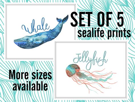 Sea Life Sea Creature 11x14 Poster Prints Set Of 5 Whale