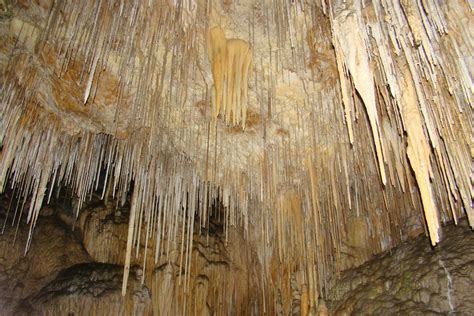 Colourmyworld Hasting Caves Tasmania