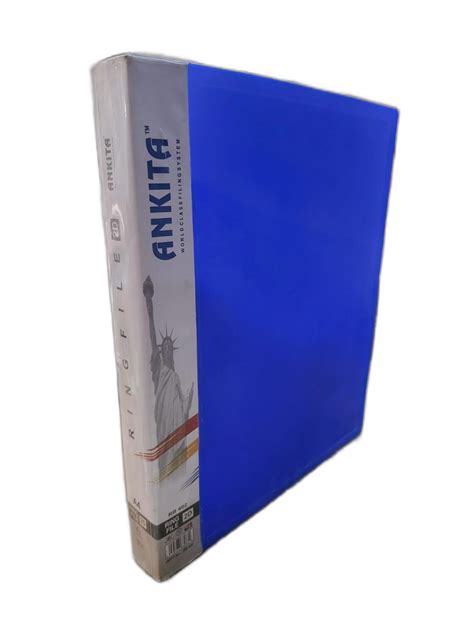 Blue Plastic Office File Folder At Rs 65piece Dataking File Folders