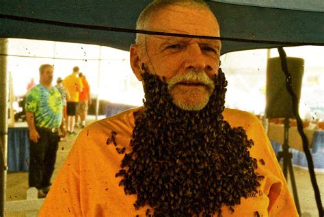 Im The Guy In The Photos Wearing A Bee Beard By Bev Potter Slackjaw Medium