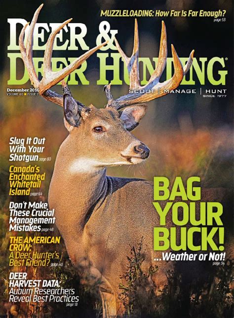Deer And Deer Hunting Magazine Whitetail Deer Hunting Tips