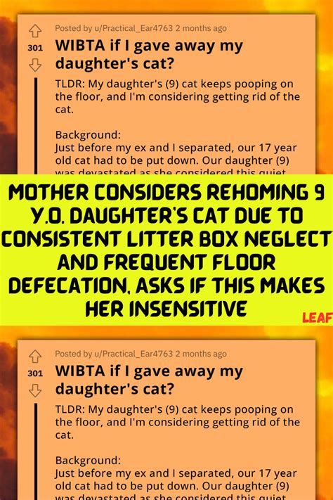 mother considers rehoming 9 y o daughter s cat due to consistent litter box neglect and frequent