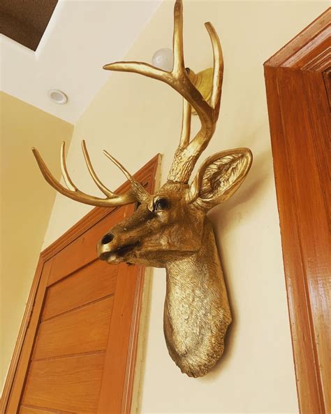 Golden Deer Wall Mount Trophy Resin Taxidermy The Artifacts Gallery
