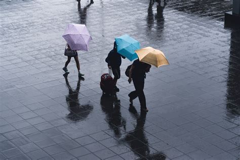 Selective Color Photography Of Three Person Holding Umbrellas Under The