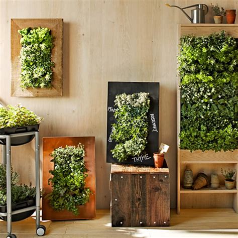 How To Make An Indoor Wall Garden