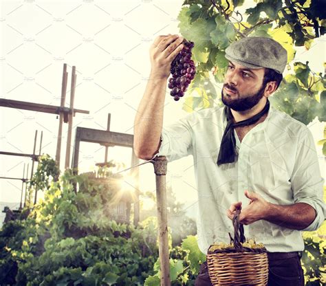 Farmer In The Vineyard High Quality Stock Photos ~ Creative Market