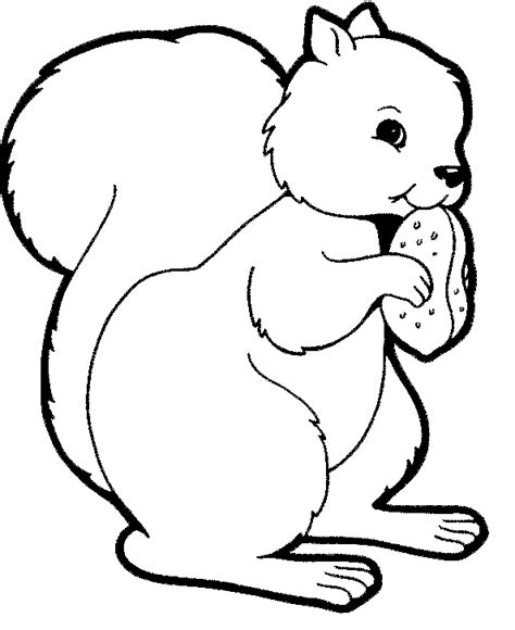 Eekhoorn Squirrel Coloring Page Farm Animal Coloring Pages Fall