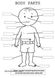 Vocabulary worksheet containing body parts vocabulary. Parts of the Body Printable Worksheets. Give a like! | Educational Activities | Pinterest ...