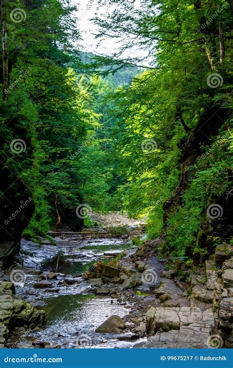 Photo Of Mountain River Flowing Through The Green Forest Stock Image