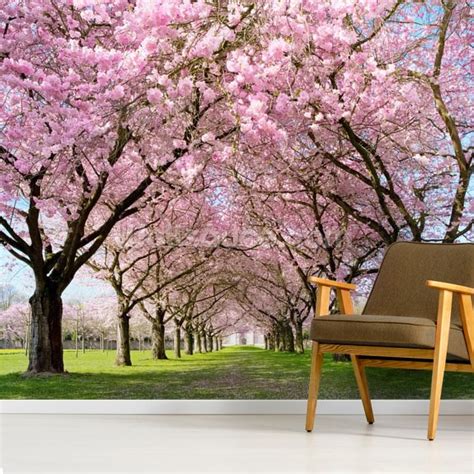 View Cherry Blossom Tree Wall Mural Background In Wallpaper