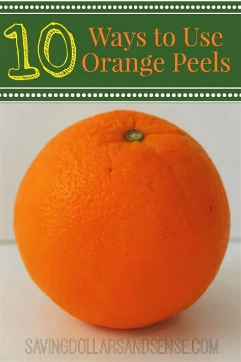 10 Ways To Use Orange Peels Saving Dollars And Sense