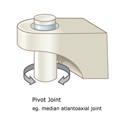 Pivot Joint Neck