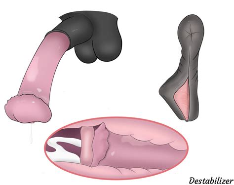 Rule 34 Absurd Res Anatomically Correct Animal Genitalia Animal Penis
