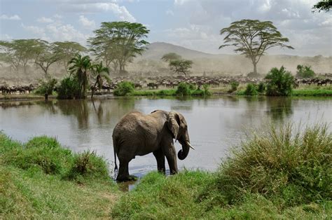 Visiting Tanzania - What You Need to Know - 7 Days Abroad