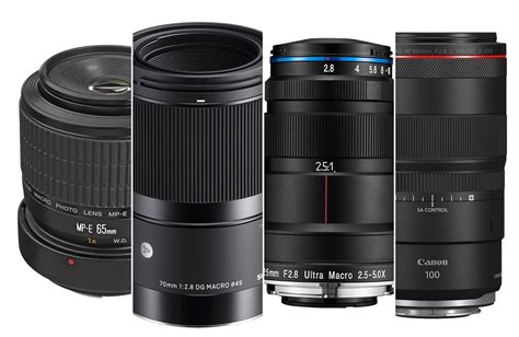 The Best Macro Lenses For Canon For 2023 Popular Photography