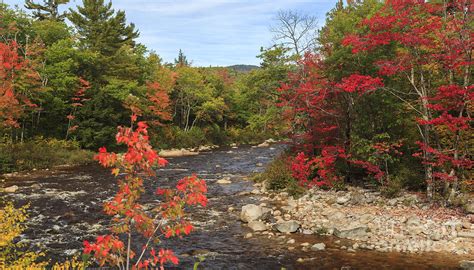 Swift River Fall Foliage White Mountains New Hampshire