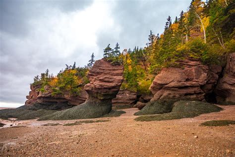 Bay Of Fundy Hopewell Rocks New Brunswick Canada