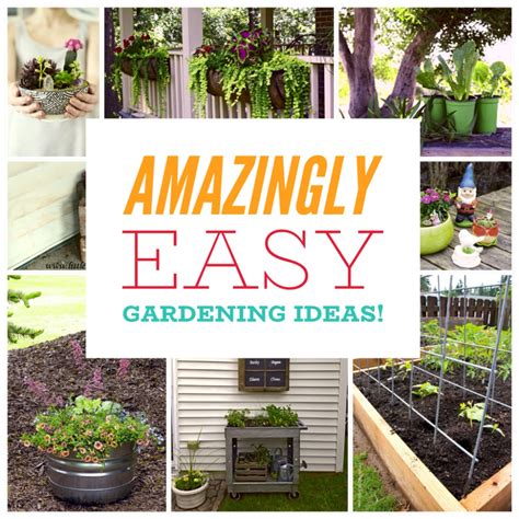 10 Absolutely Crazy Easy Diy Gardening Ideas You Must Try