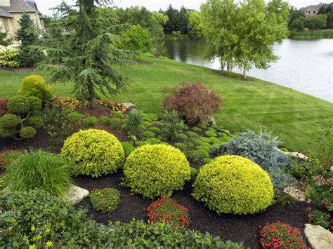 20 Shrub Garden Designs Ideas Design Trends Premium Psd Vector