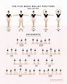 Ballet Dance Poster Ballet Positions & Movements Ballerina | Etsy India