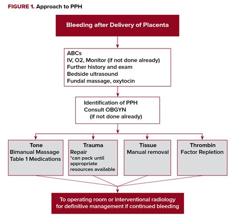 Pathophysiology Of Postpartum Hemorrhage
