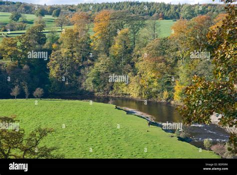 River Wharfe Bolton Abbey Yorkshire England Stock Photo Alamy