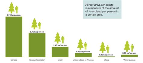 How Much Forest Does Canada Have Natural Resources Canada