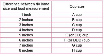 how to measure bra cup size - Google Search | Bra cup sizes, Ddd cup
