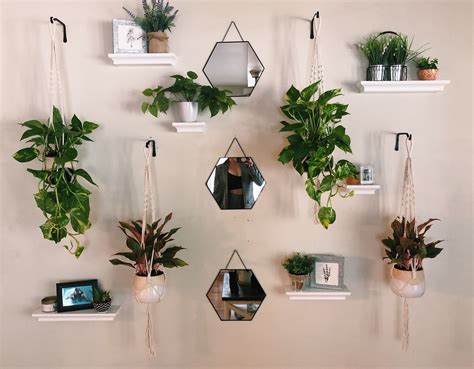 Indoor Garden Wall Indoor Plant Wall Indoor Plant Shelves Indoor Plants