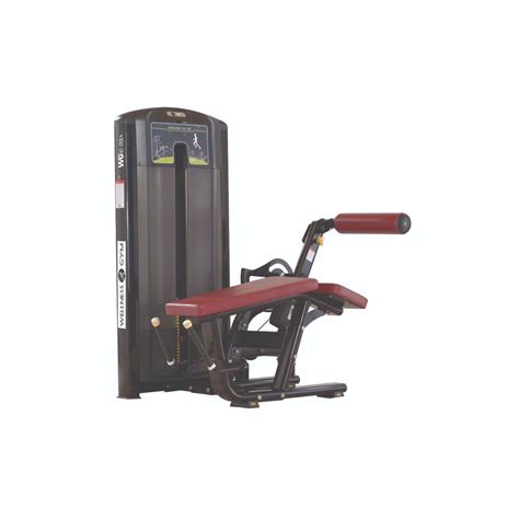 Manual Wg10 013a Horizontal Leg Curl Machine For Gym At Rs 115000 In