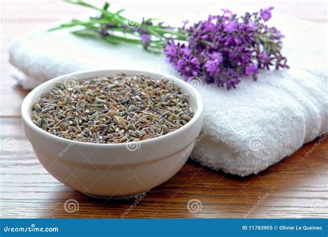 Lavender Flower Seeds And Fresh Flowers In A Spa Stock Image Image Of