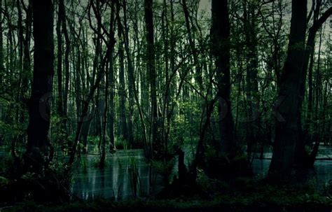 Spooky Swamp Stock Photo Colourbox