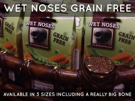 Petsafe® brand to launch 22 new products at 2019 global pet expo. Wet Noses Inc. Global Pet Expo Product Recap by