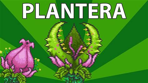 Poradnik Terraria 1 2 Plantera [boss] Youtube