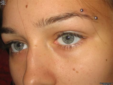 Illustrated Guide To Eyebrow Piercings Tatring
