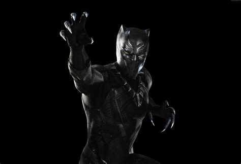 Black Panther From Marvel Hd Wallpaper Wallpaper Flare