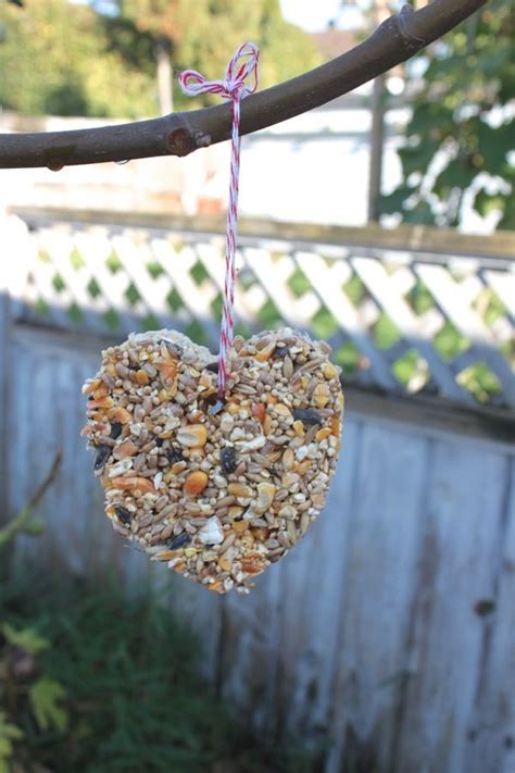 Cookie Cutter Bird Seed Feeders Crafty Pinterest