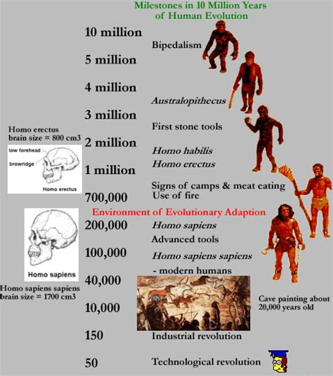 Evolutionary Psychology Evolutionary Psychology Human Evolution