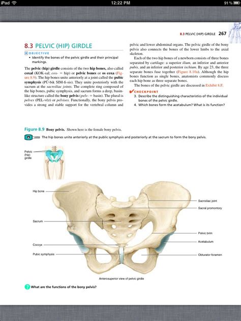Principles Of Anatomy And Physiology Chapter 8 The Skeletal System