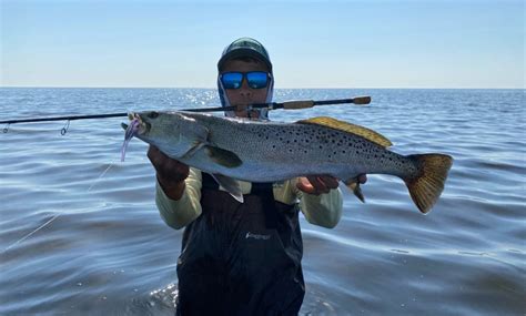 Picking The Best Speckled Trout Lures Great Days Outdoors